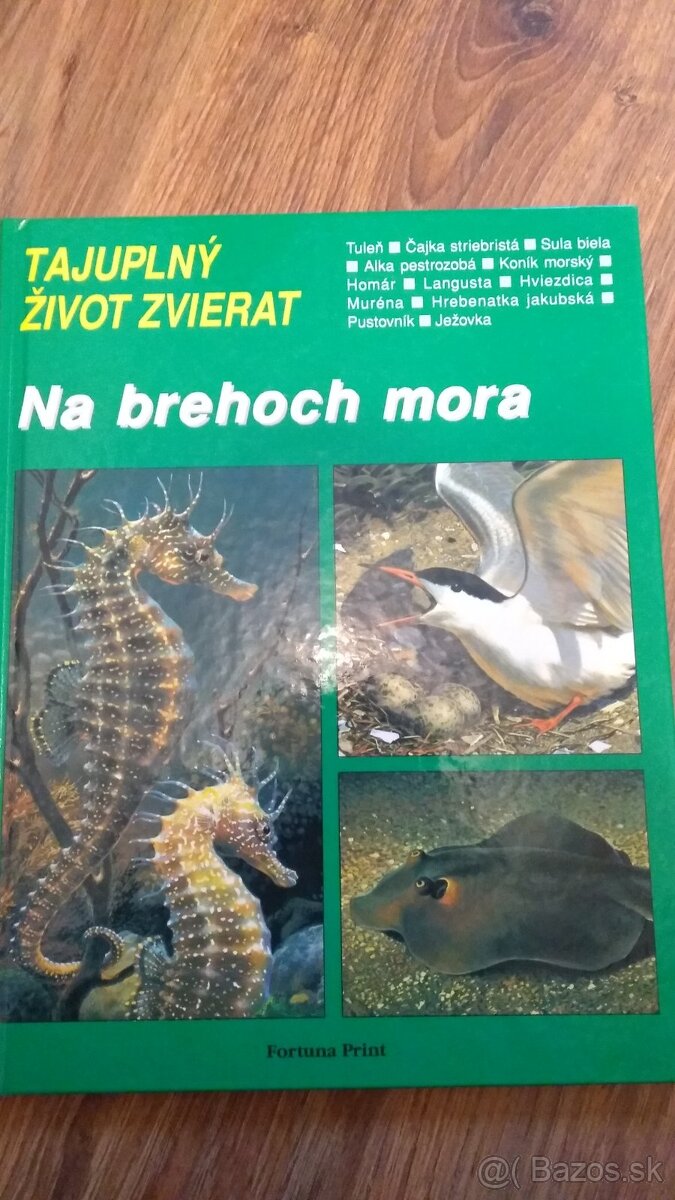 Kniha Na brehoch mora