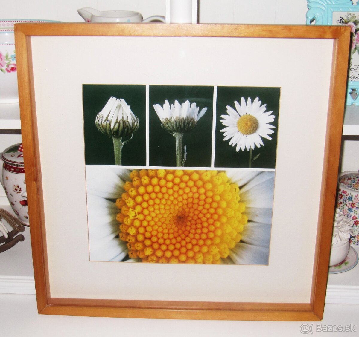 Obraz margaréty - 53 cm x 53 cm