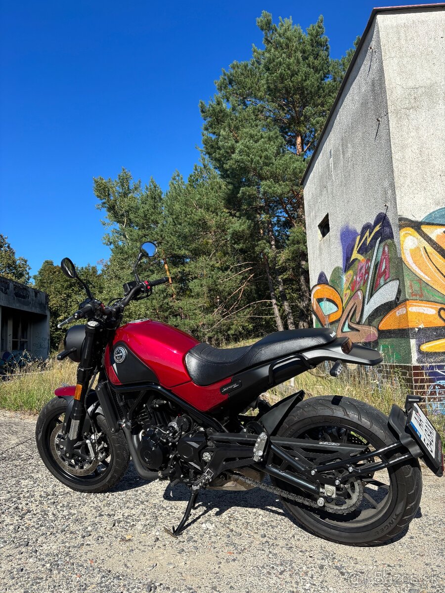 Benelli Leoncino 500 2019