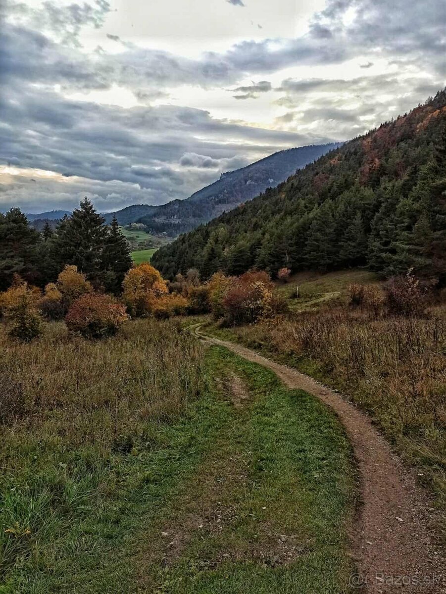 Predám lesný pozemok na Liptove
