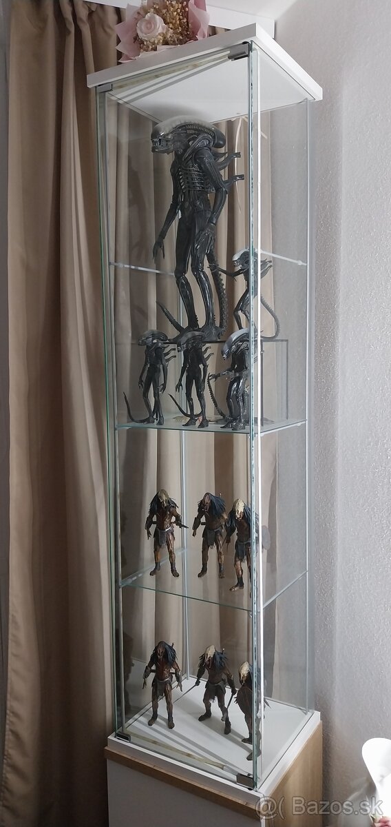 Vitrina IKEA DETOLF