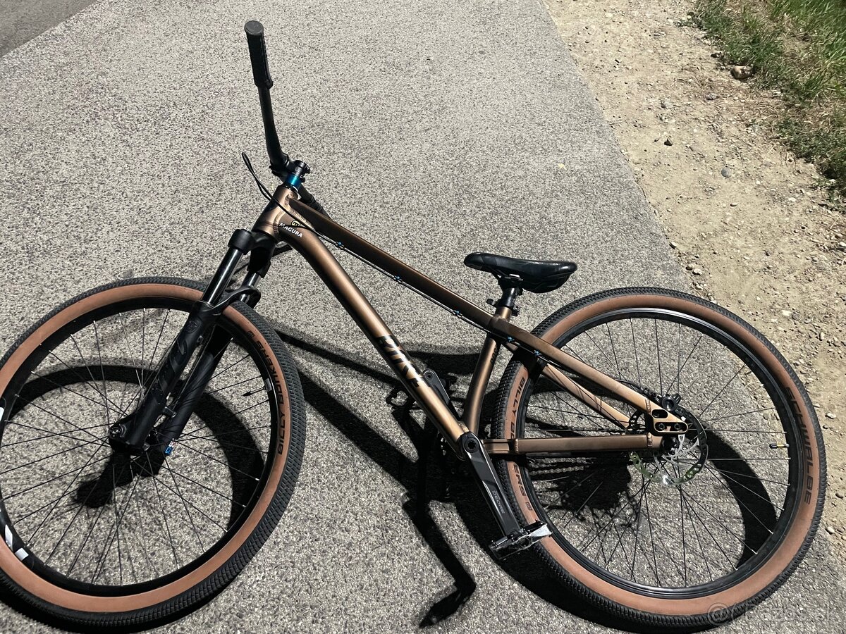 Dirt bike custom