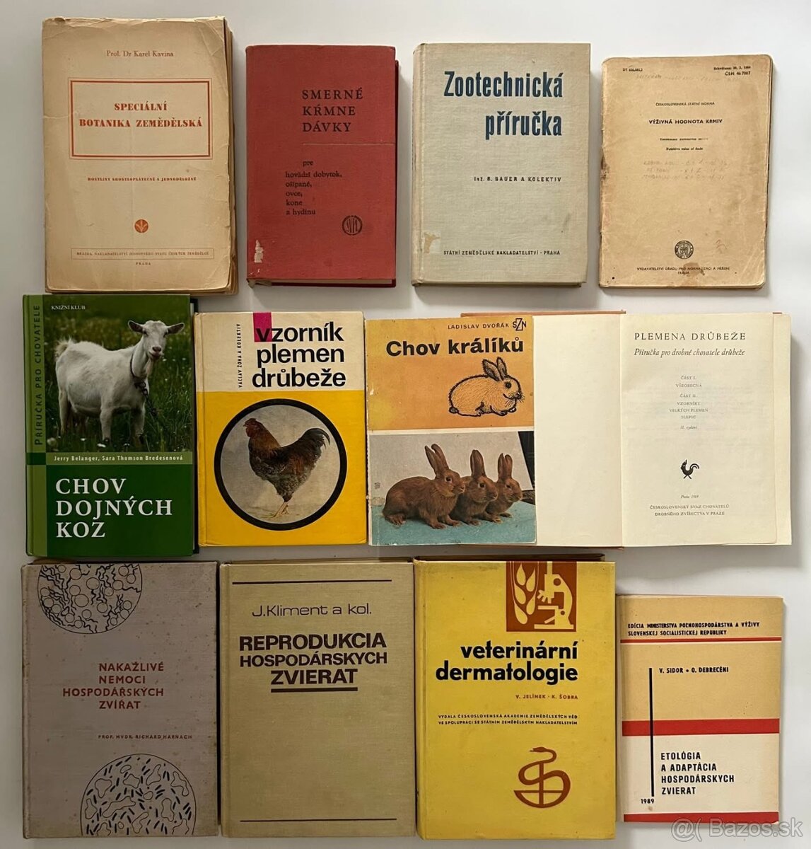 CHOV HOSPODÁRSKYCH ZVIERAT