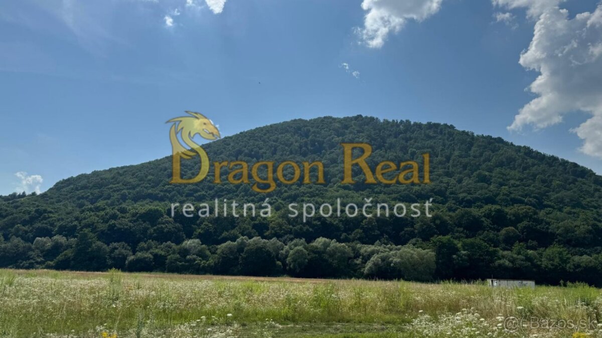 2 INVESTIČNÉ POZEMKY o rozlohe 2307m2 a 461 m2- VEĽKÝ ŠARIŠ