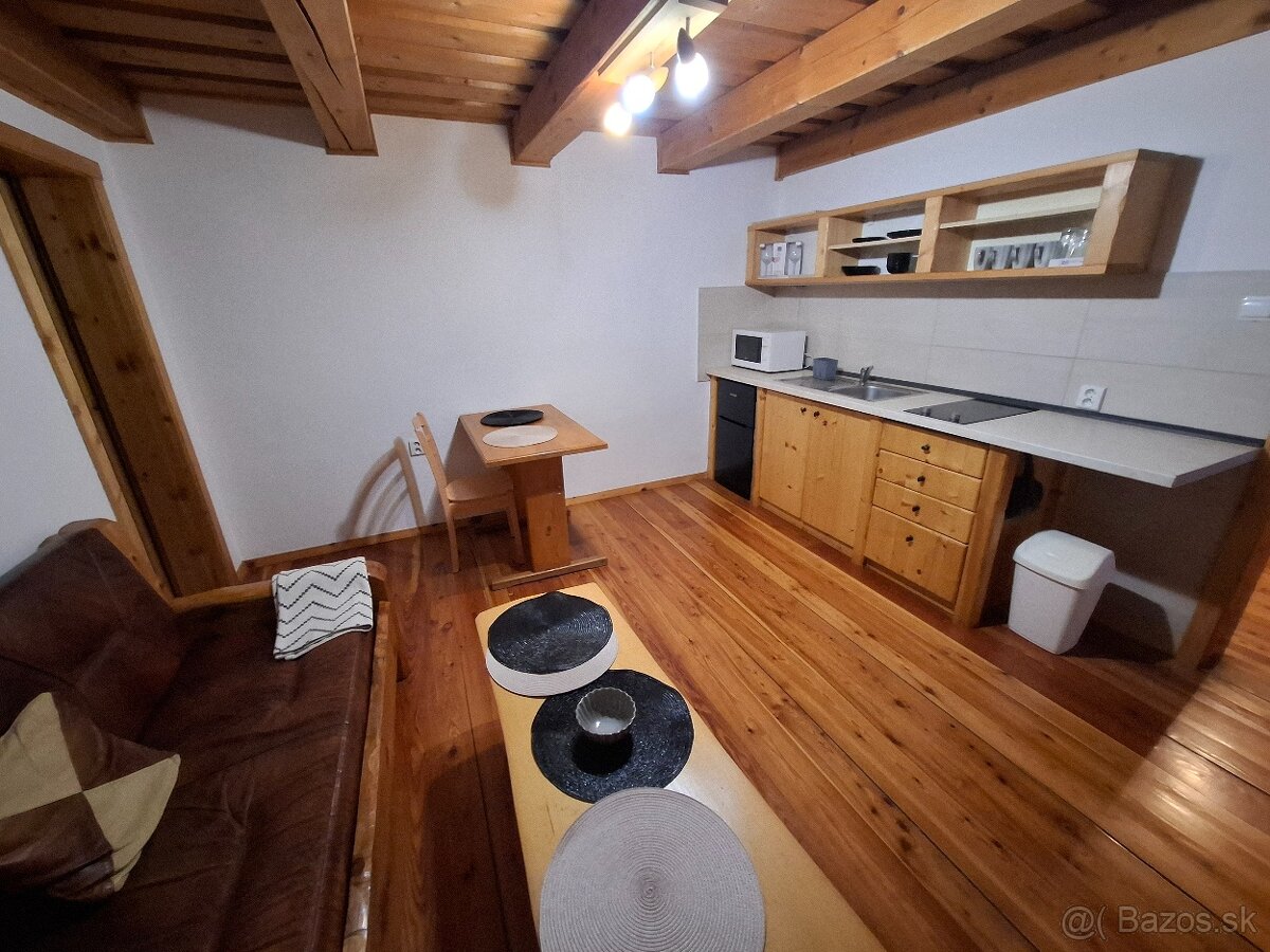 Dám do dlhodobého prenájmu jedno izbový byt