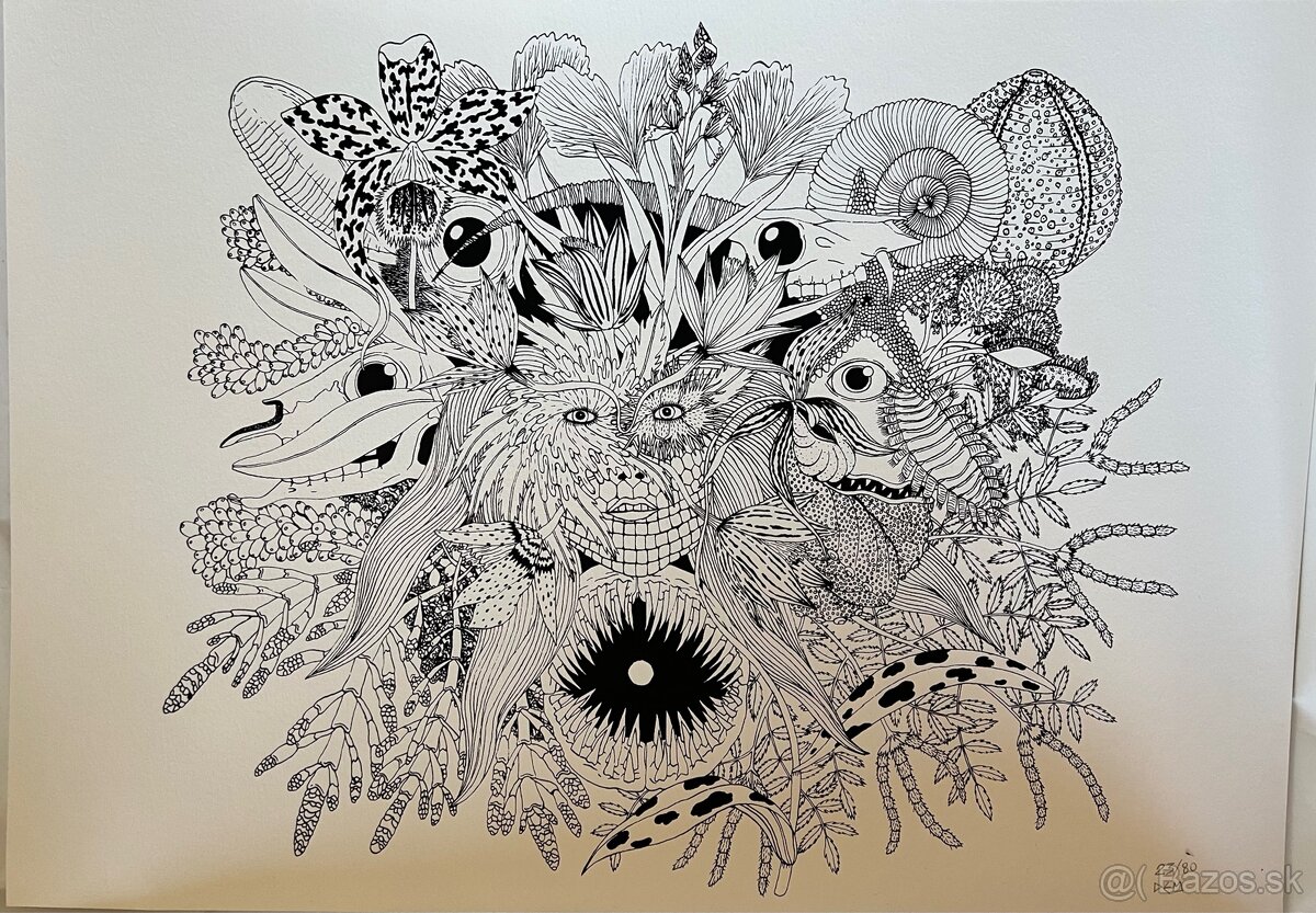 Kresba na papieri - 72x50.5cm