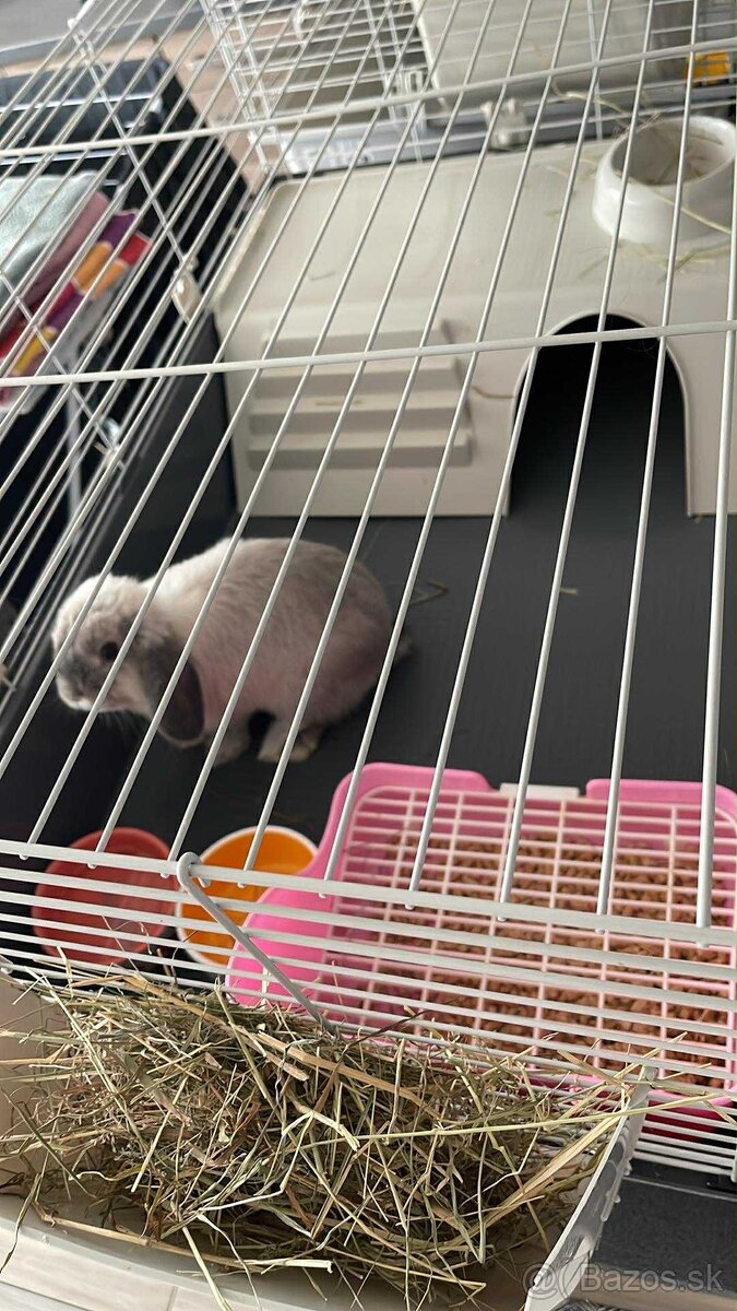 Klietka pre králika