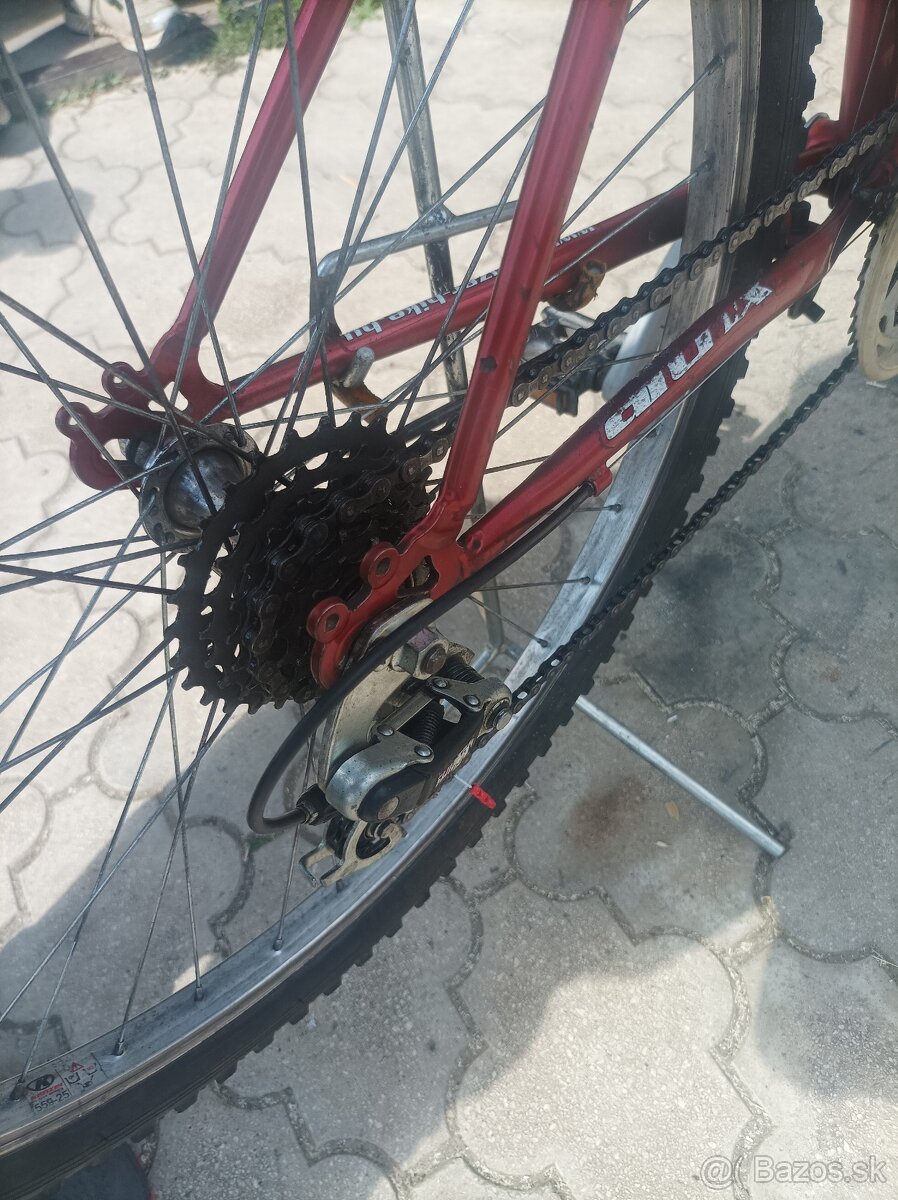 Dámsky bicykel