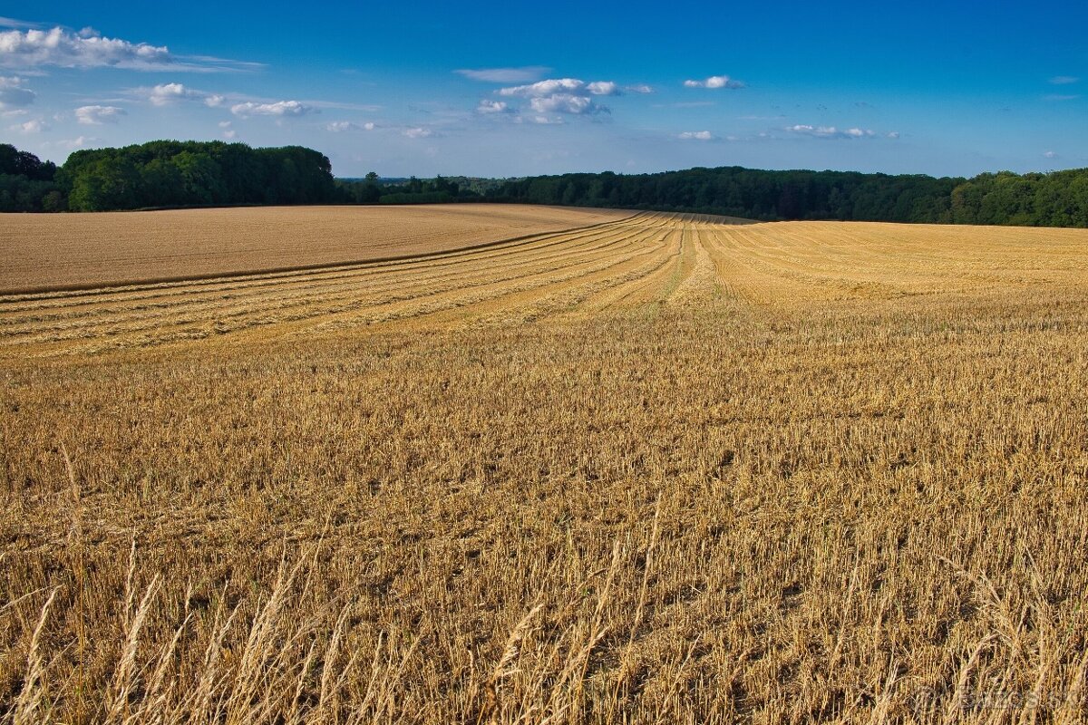 Horný Tisovník – 3.056 m2 - INVESTIČNÉ POZEMKY