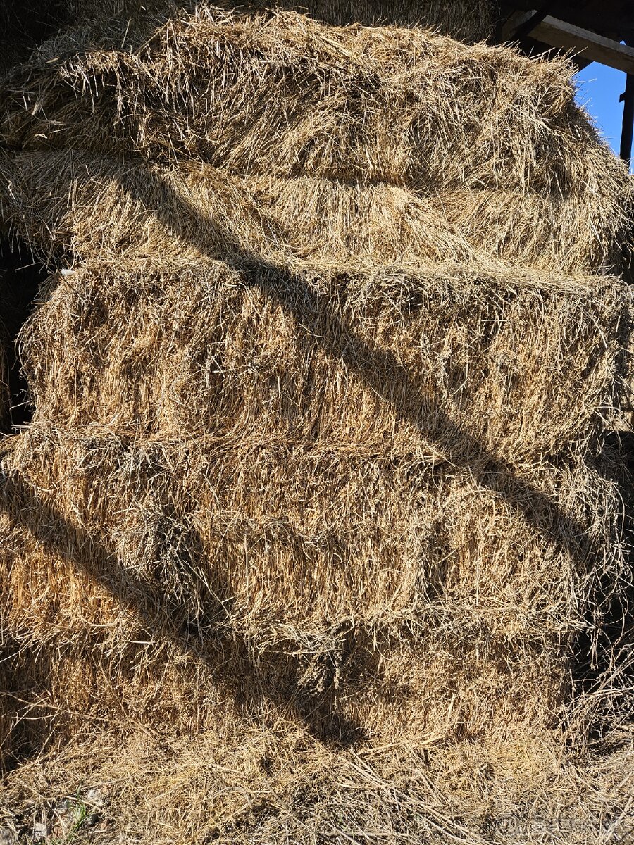 Lucernové a lúčne seno