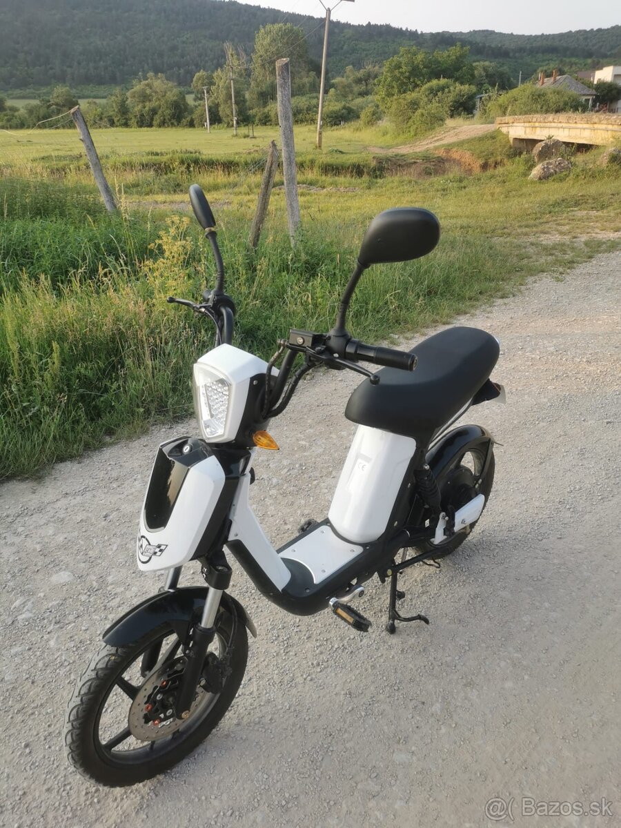 Freeway electric scooter