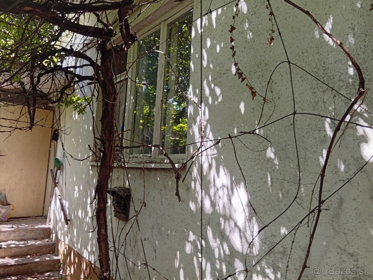 3-i dom + letná kuchyňa, 1000 m² pozemok, centum Leopoldov