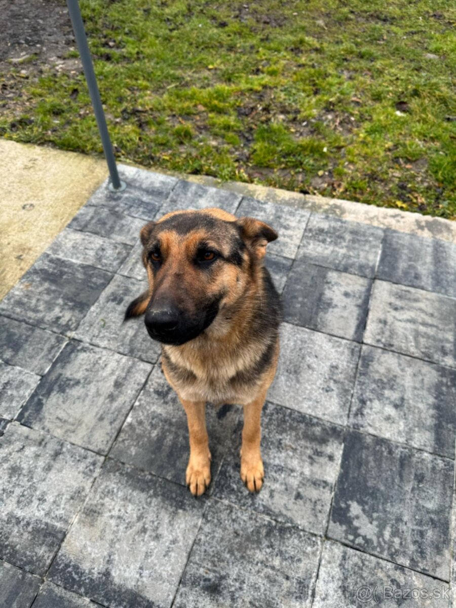 Darujem za symbolickú cenu