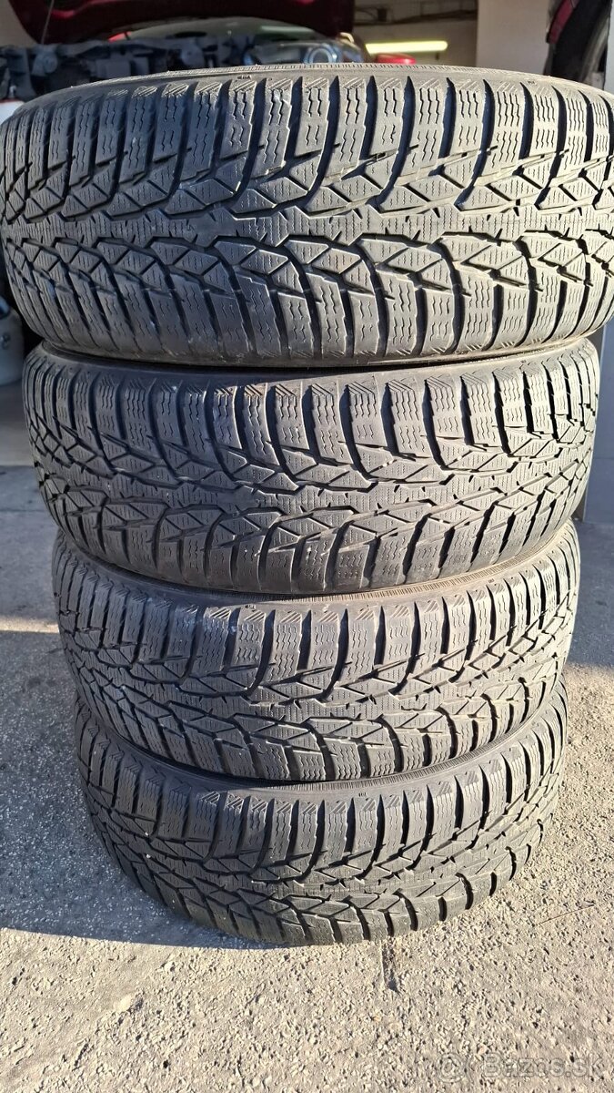 Zimné pneumatiky Nokian WRD4 (175/65R14)