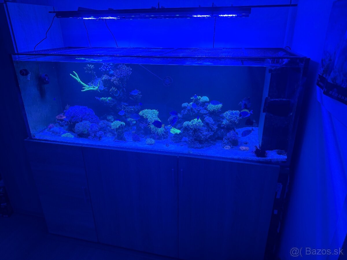 Morské Akvárium 170x60x60