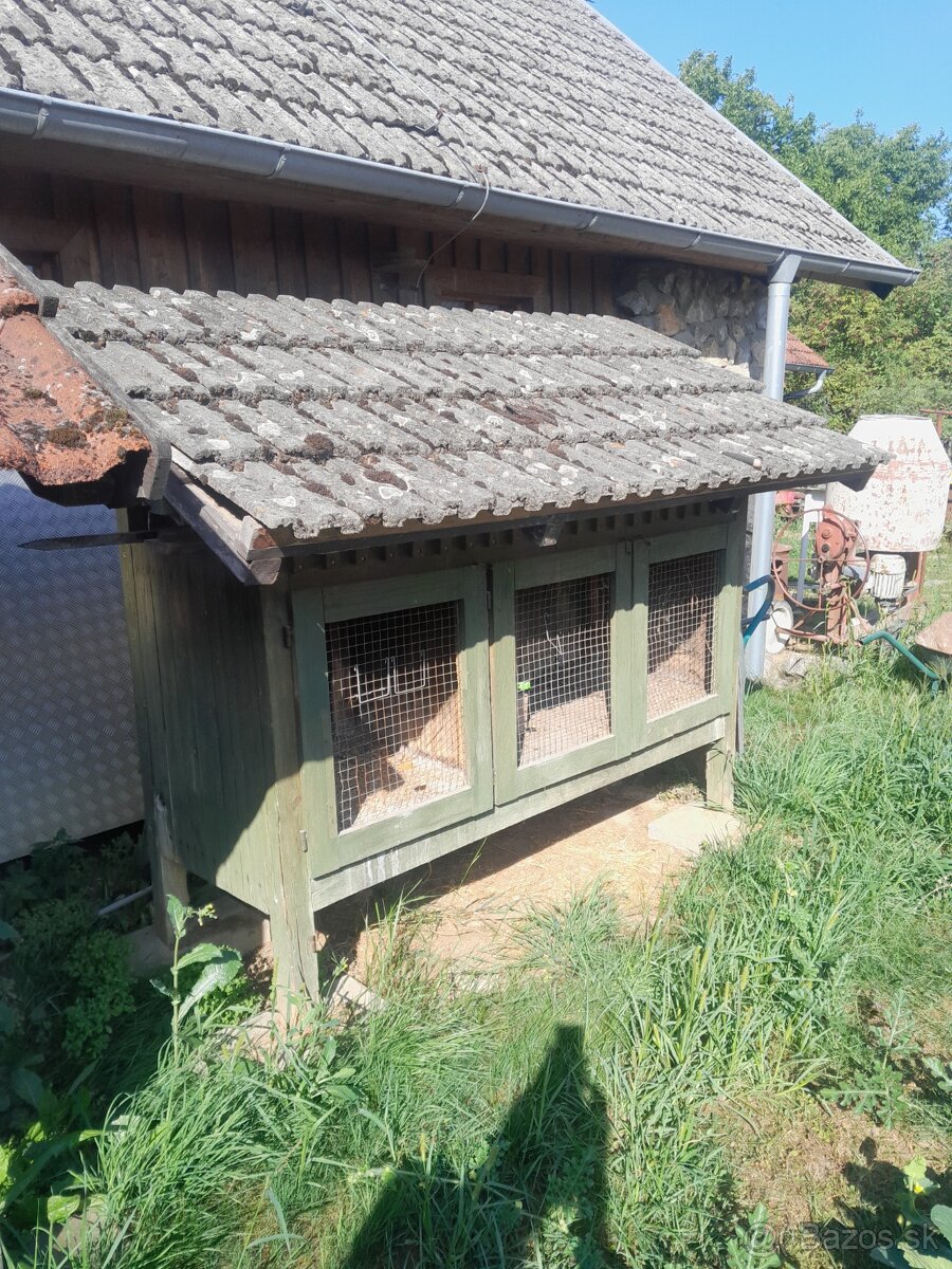 Zajačník