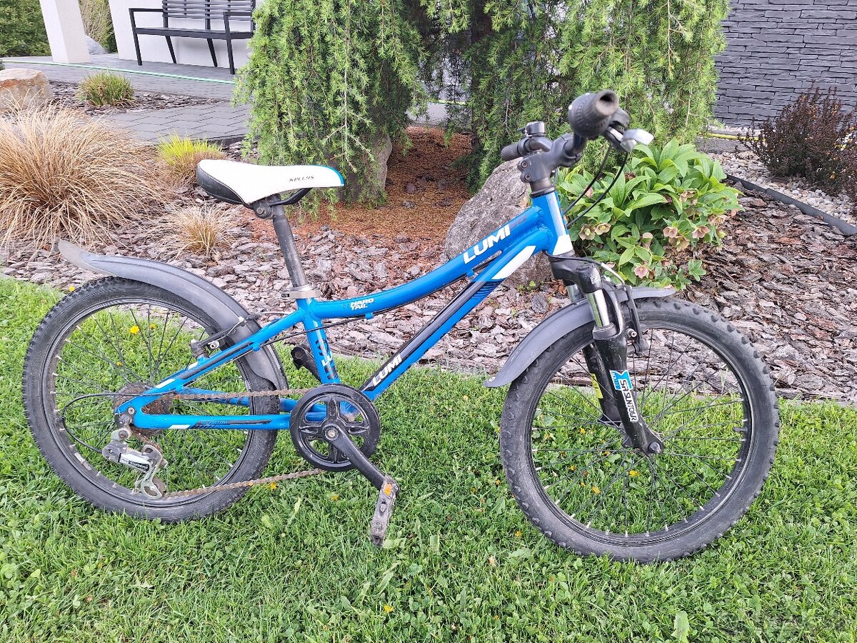 Kellys Lumi 50