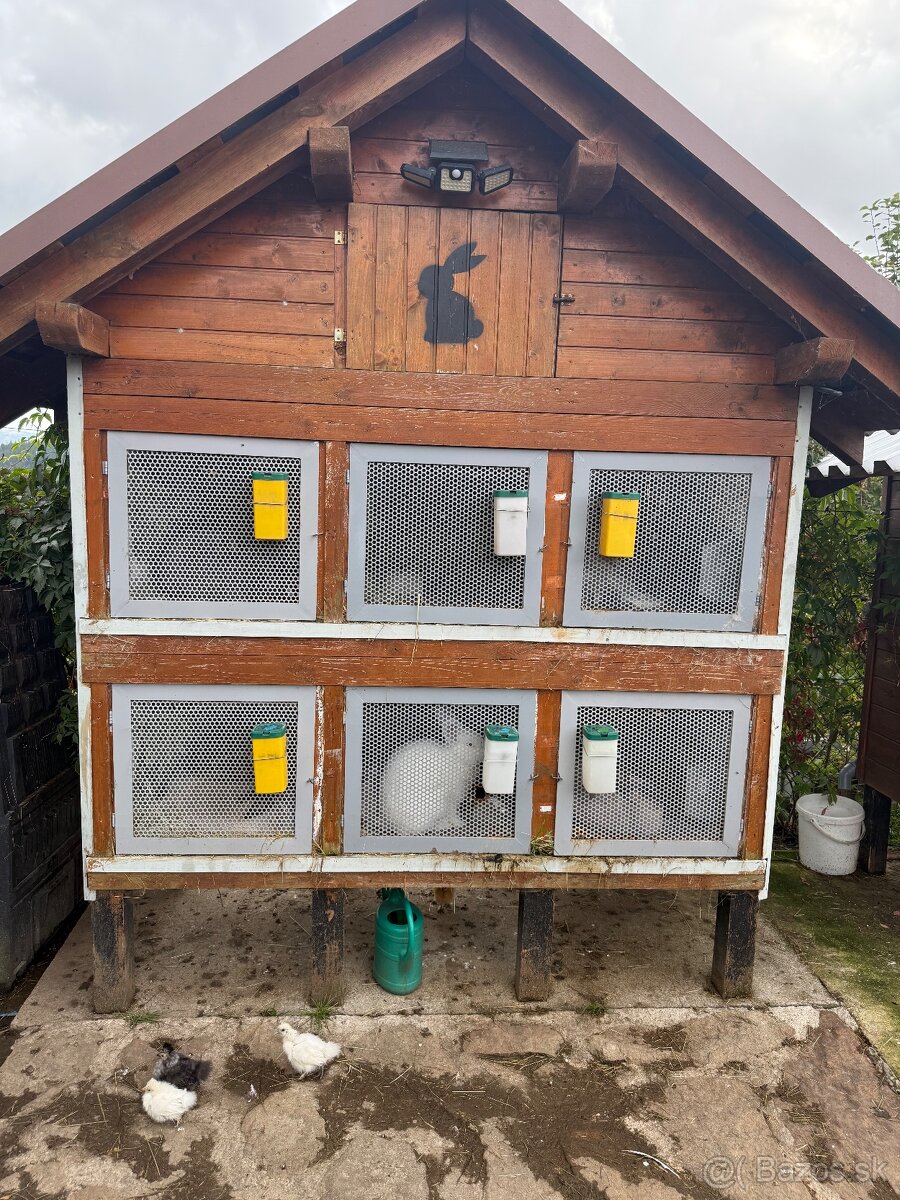 Predám Kralikareň zajačnik