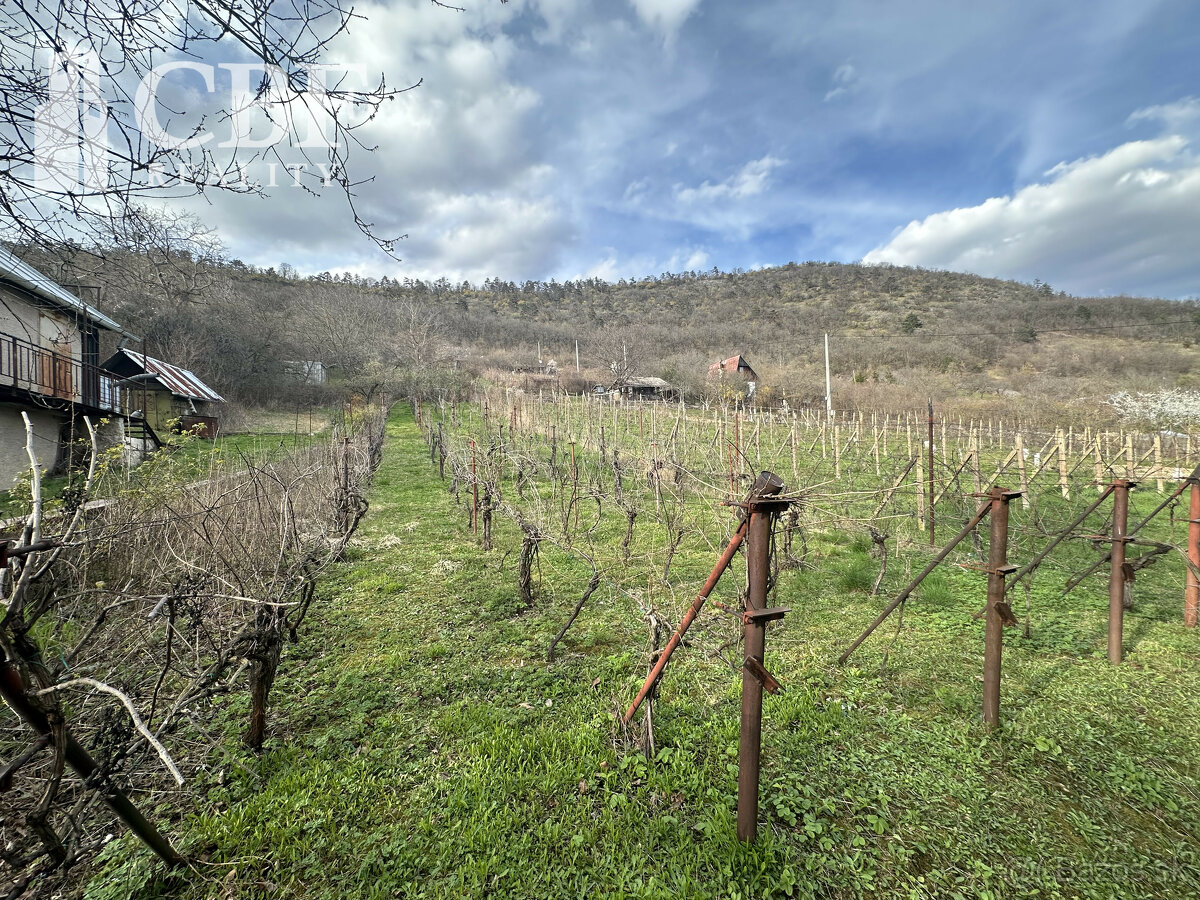 Záhradná chatka s vinicou v obci Hrušov