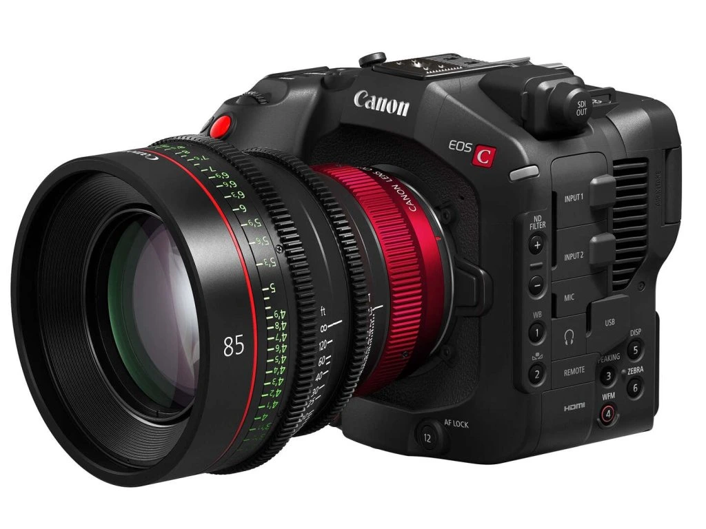 Canon C80