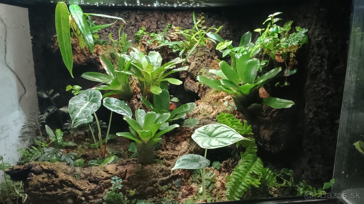 Terárium exoterra 60x45x45