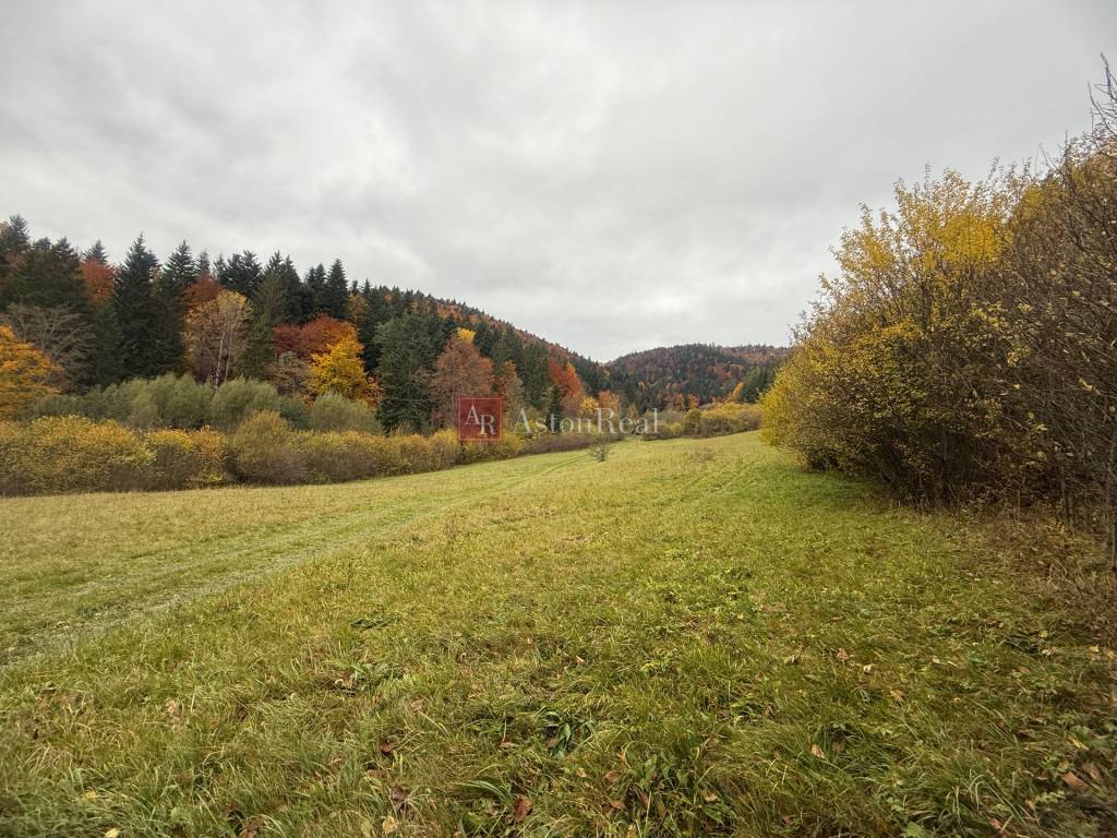 Na predaj rekreačný pozemok Lazy pod Makytou- Čertov 34.442