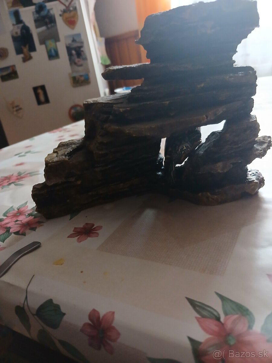Predám korytnačku