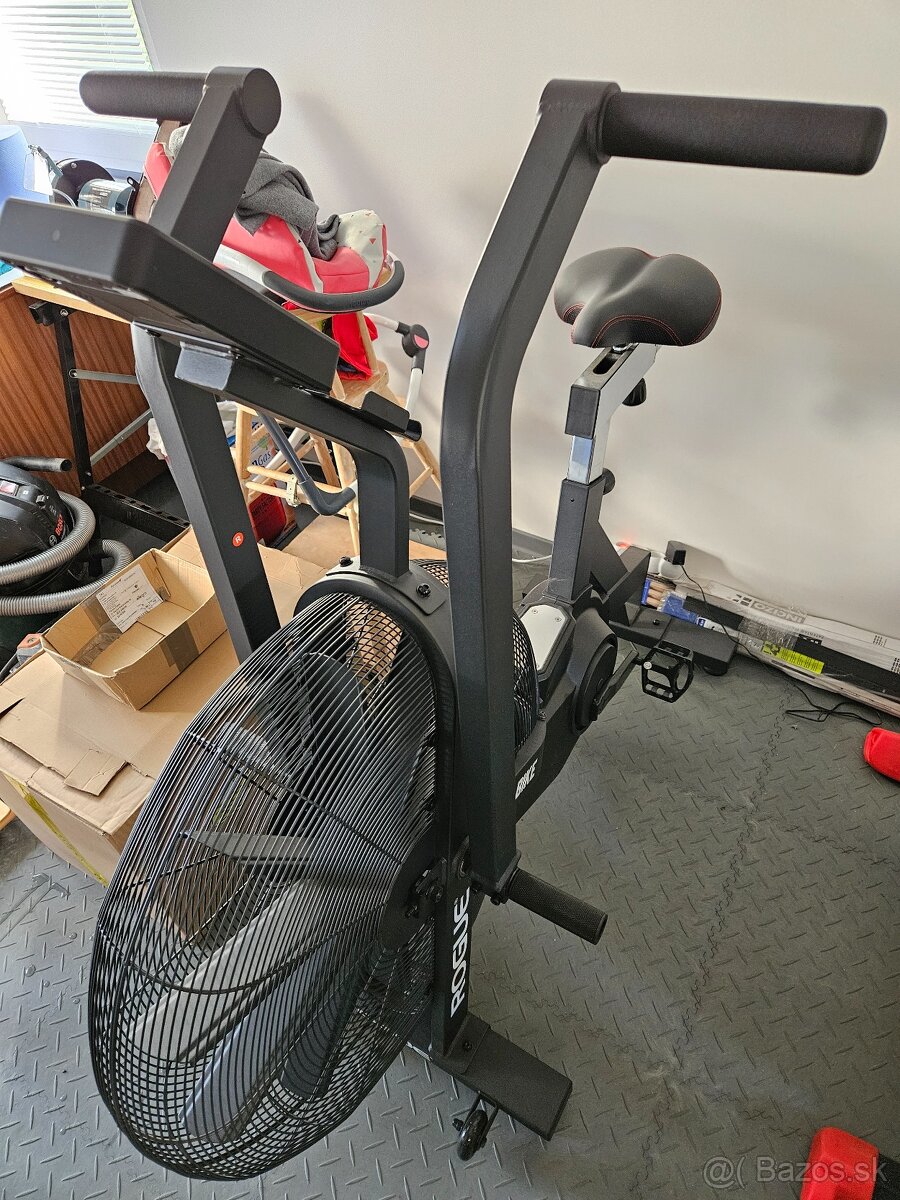Rogue Echo Air Bike