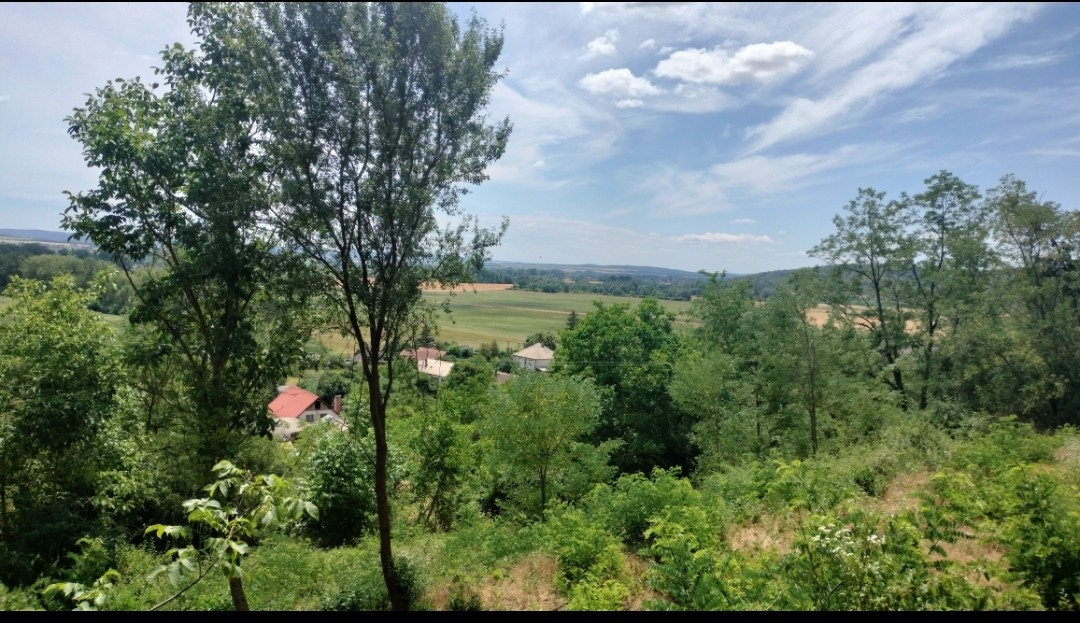 Pozemok 3000 m2