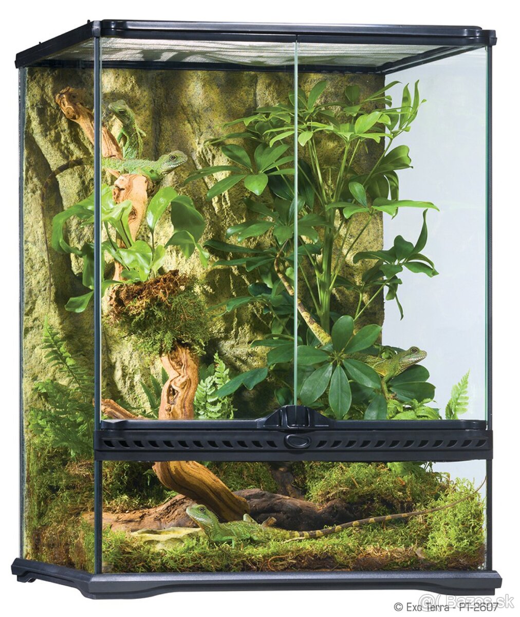 Exoterra a reptiplanet teraria