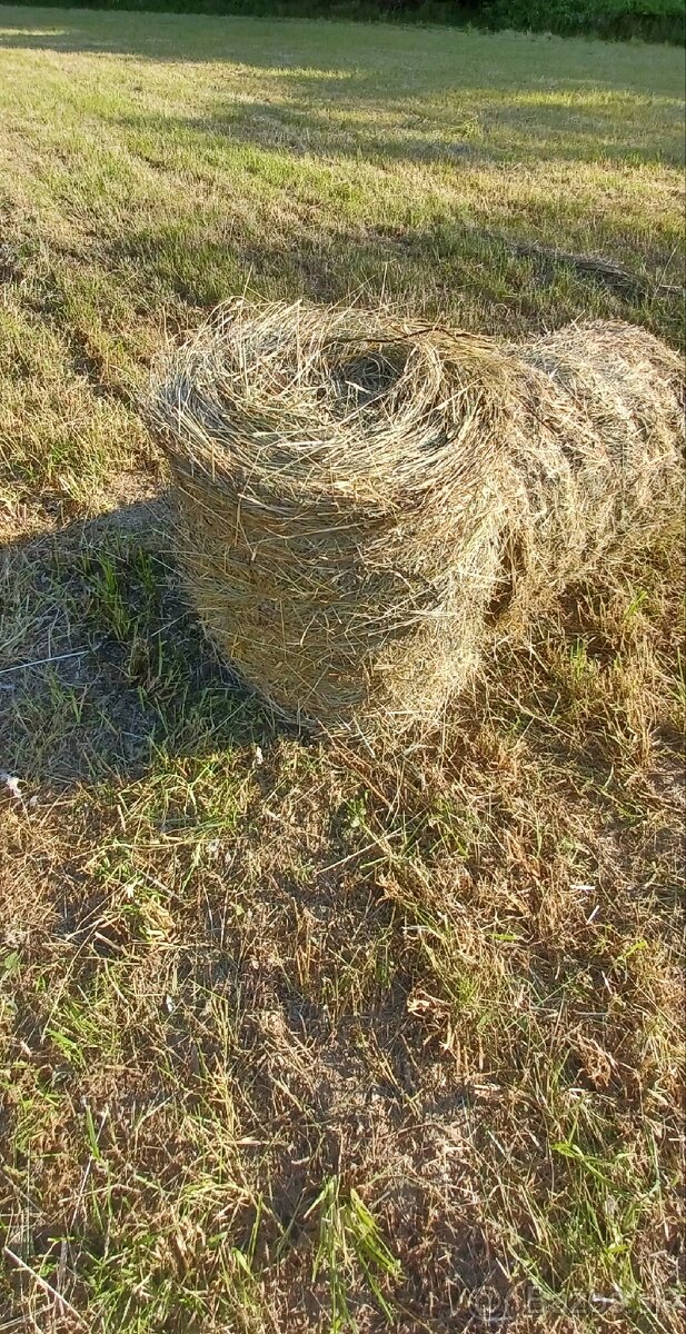 Predám seno