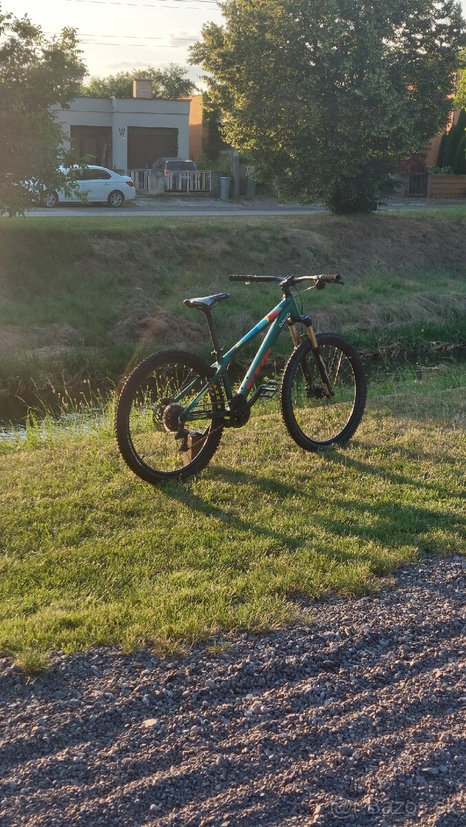 CTM RAPTOR 2020