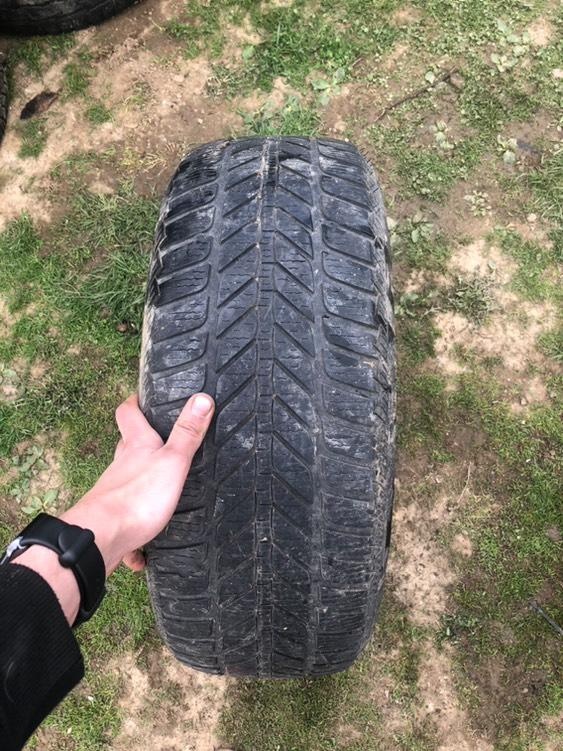 195/55 r16 zimné