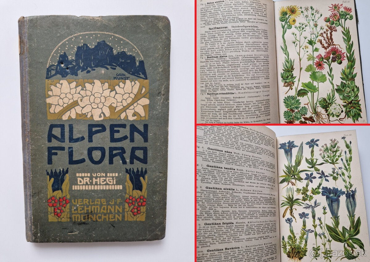 Alpská flóra 1919 - 30x barvotisková tabule alpinky atlas