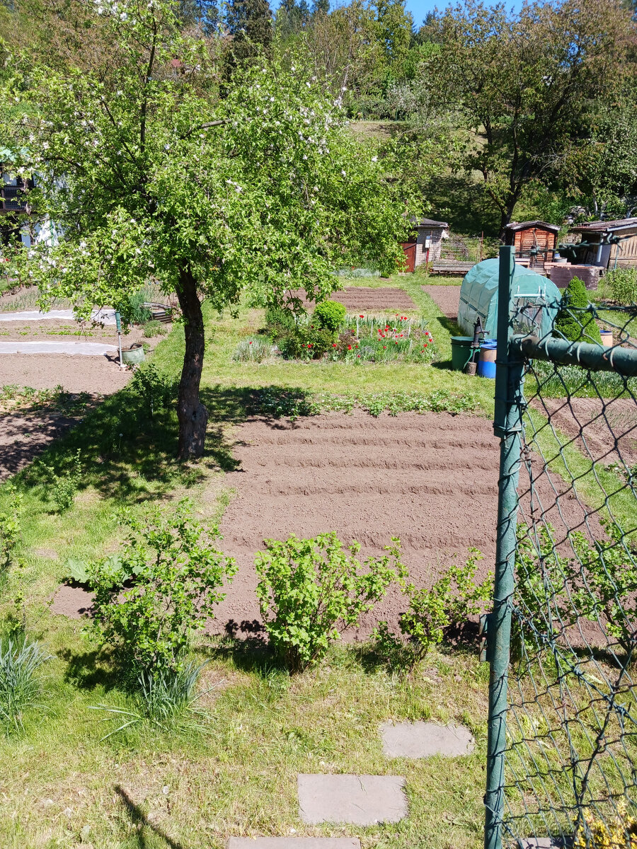 Slnečná záhrada v oblasti Podborová