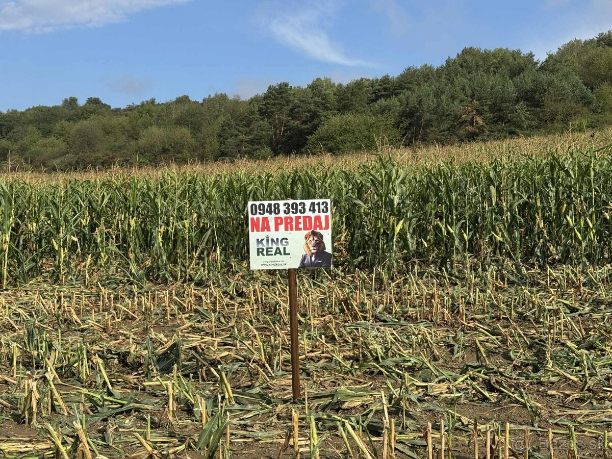 Na predaj investičný pozemok, Záhradné, Prešov