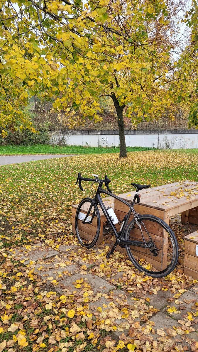 Specialized Roubaix Comp v.56