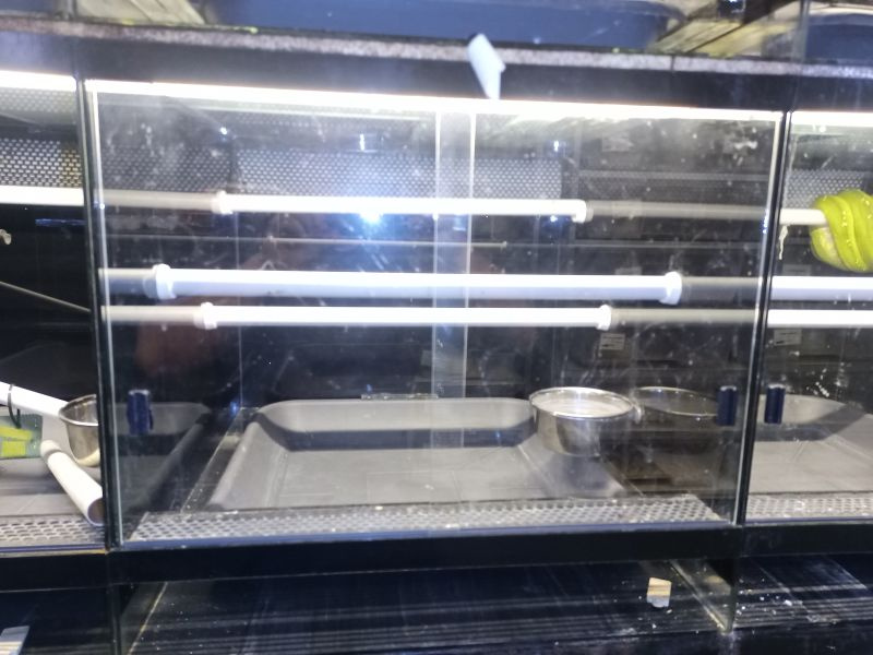 Terarium