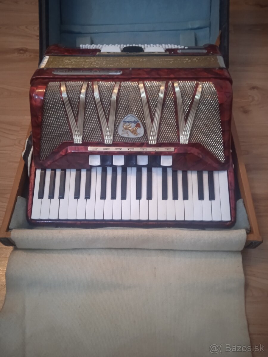 Delicia, harmonika