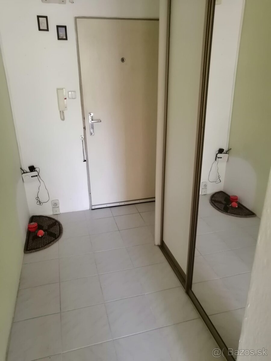 Prenájom 1izbového bytu/ podnájom 1izbový byt
