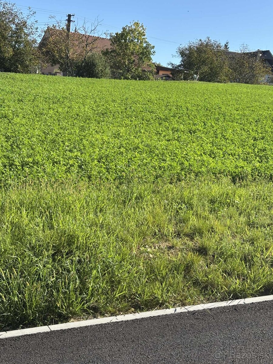 Predám krásne pozemky s IS na stavbu RD Alekšince