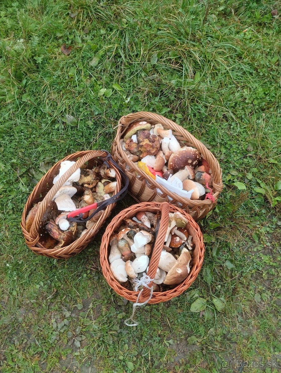 Huby hubky hubičky - sušené hríby