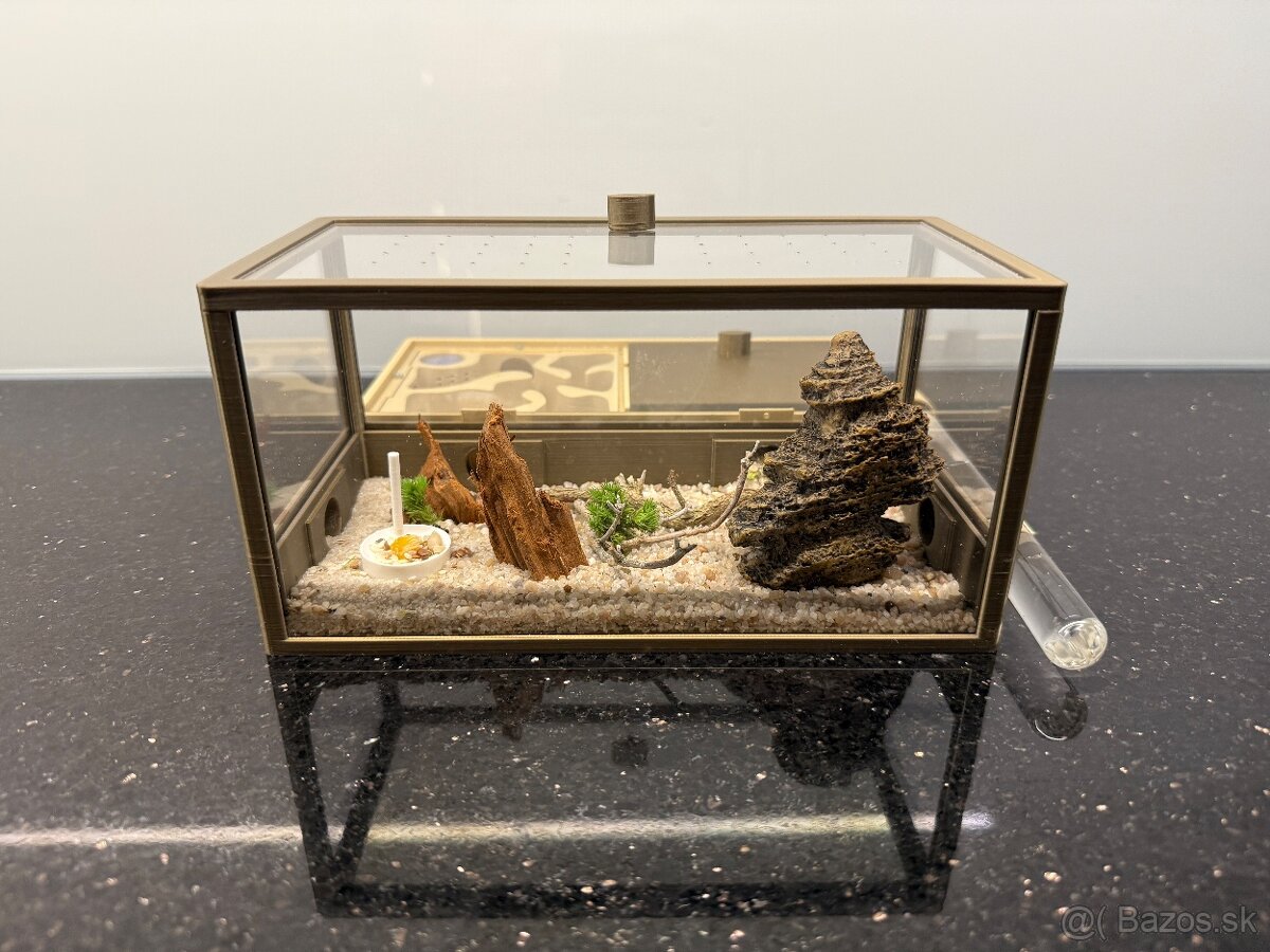 Predám formikárium pre mravce – moderný dizajn, kvalitné spr