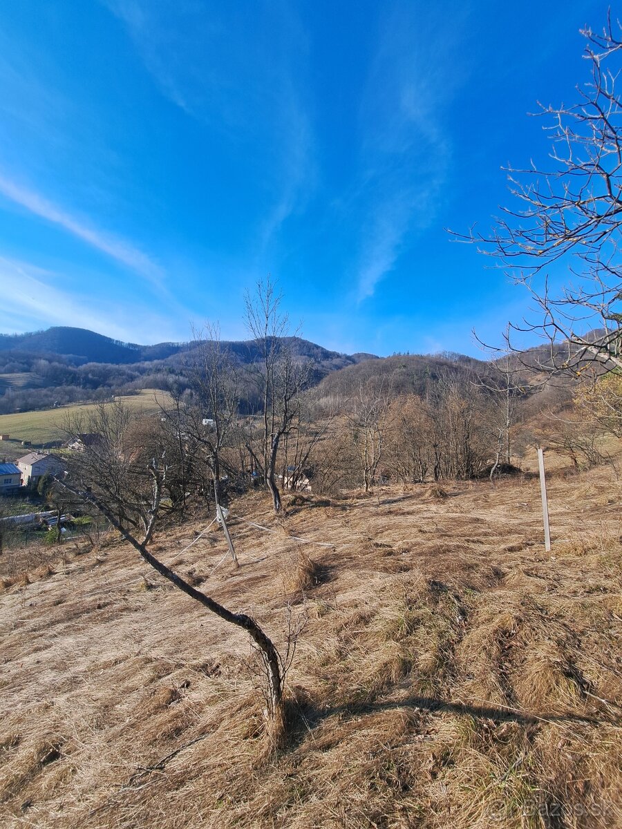 Prenajmem záhradu s chatkou v prekrásnom prostredí