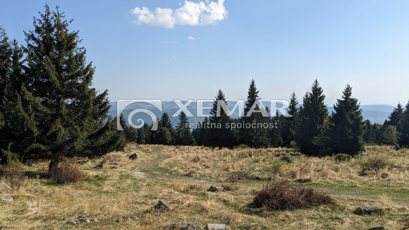 Na predaj pozemok v Hriňovej