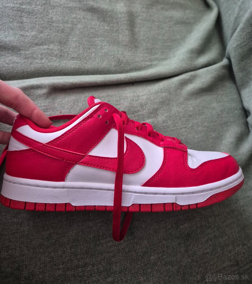 Nike Dunk Next nature