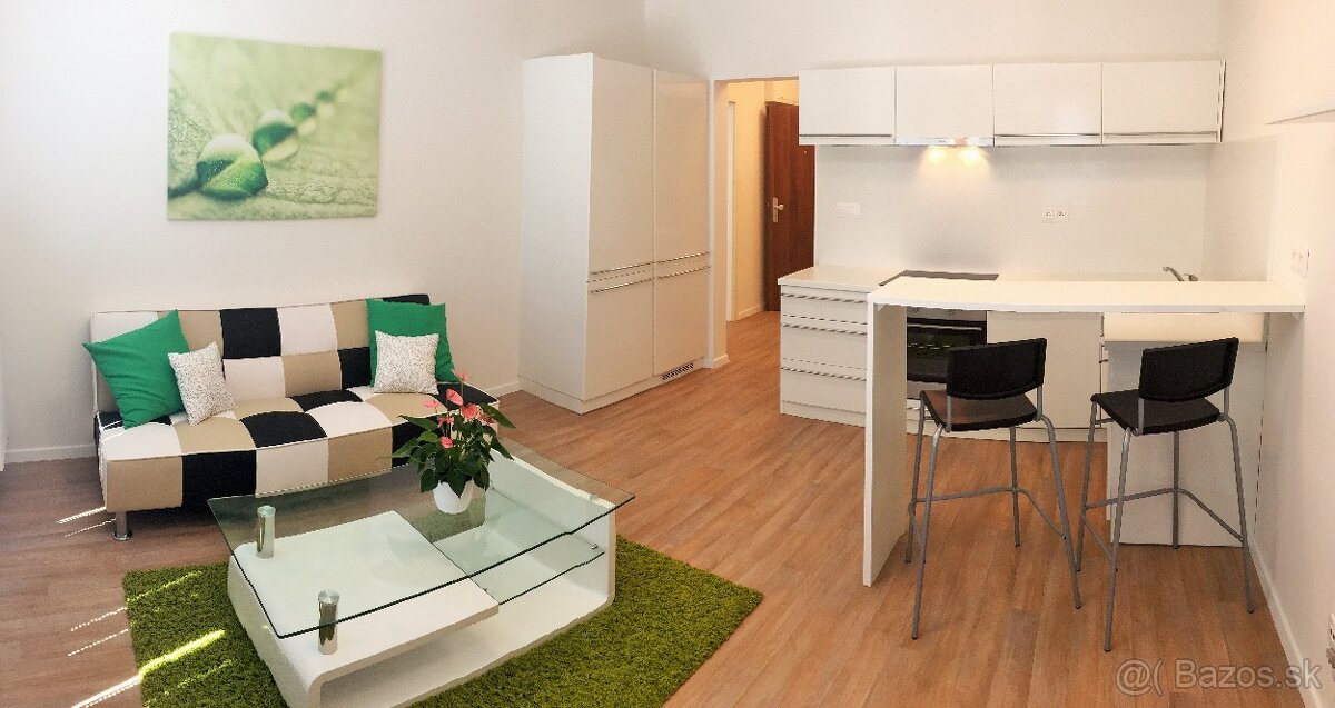 2-izbový byt v novostavbe na Miletičovej od 1.8.2024
