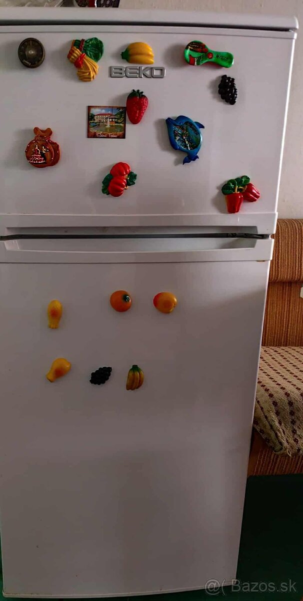 chladnicka s mraznickou