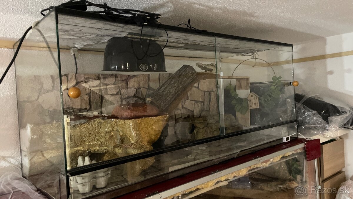 Predám terárium pre hlodavce (aj s vybavením a lampami)