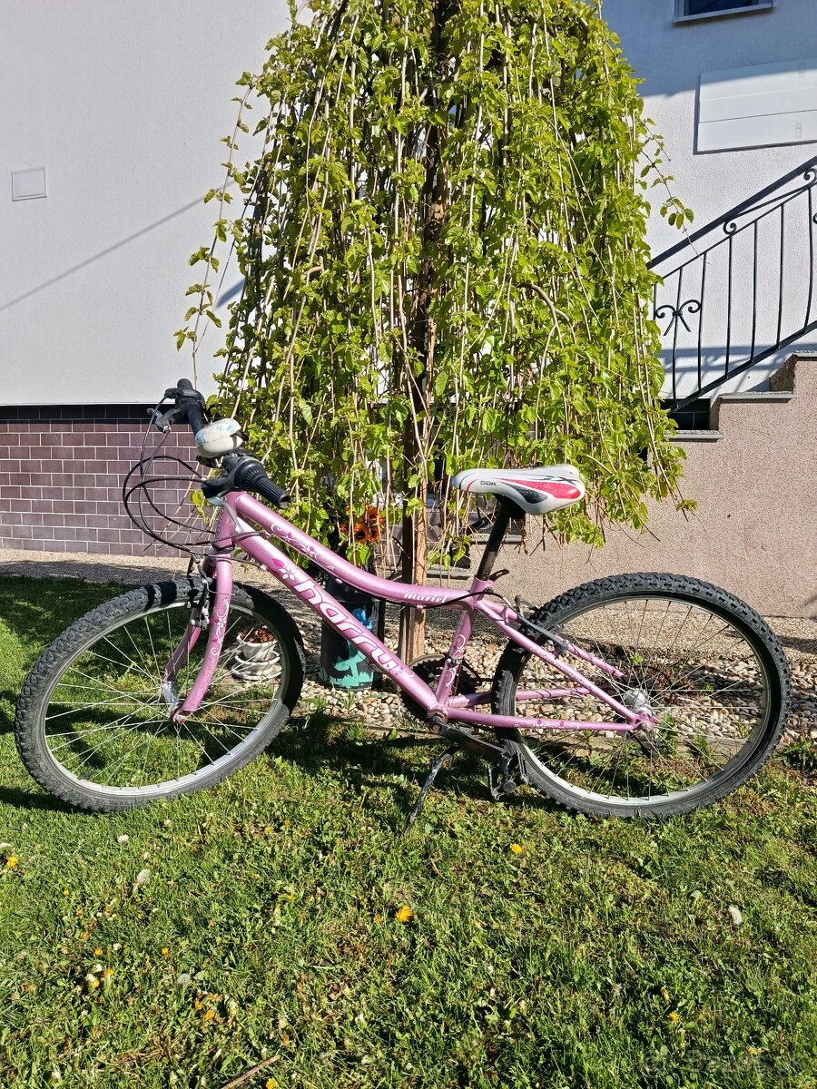 Bicykel